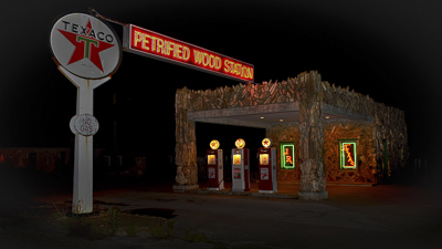 petrified wood station